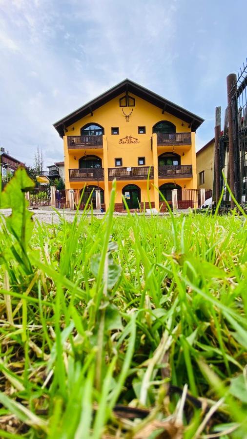 Casa Lupascu Otel Vatra Dornei Dış mekan fotoğraf