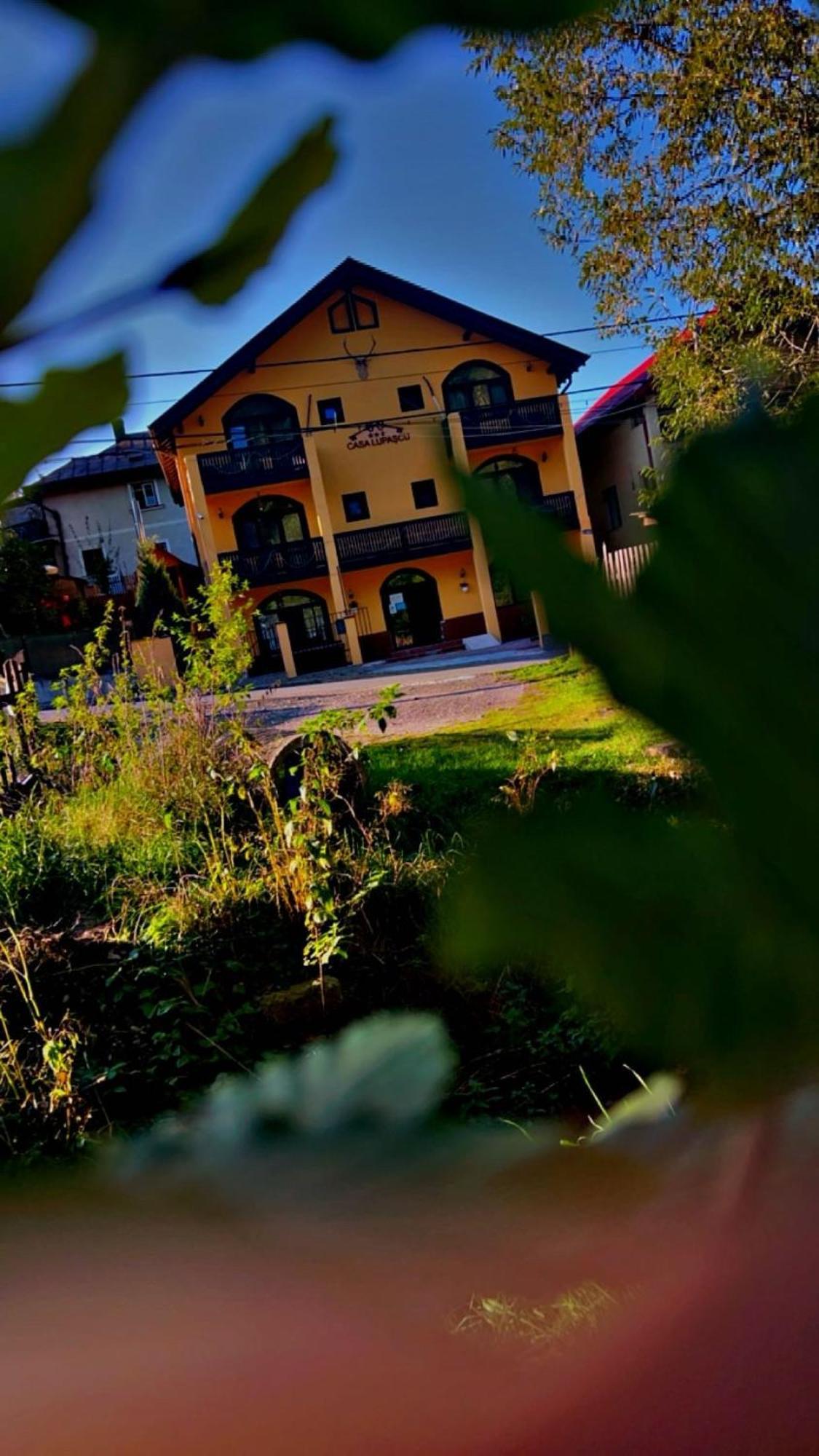 Casa Lupascu Otel Vatra Dornei Dış mekan fotoğraf