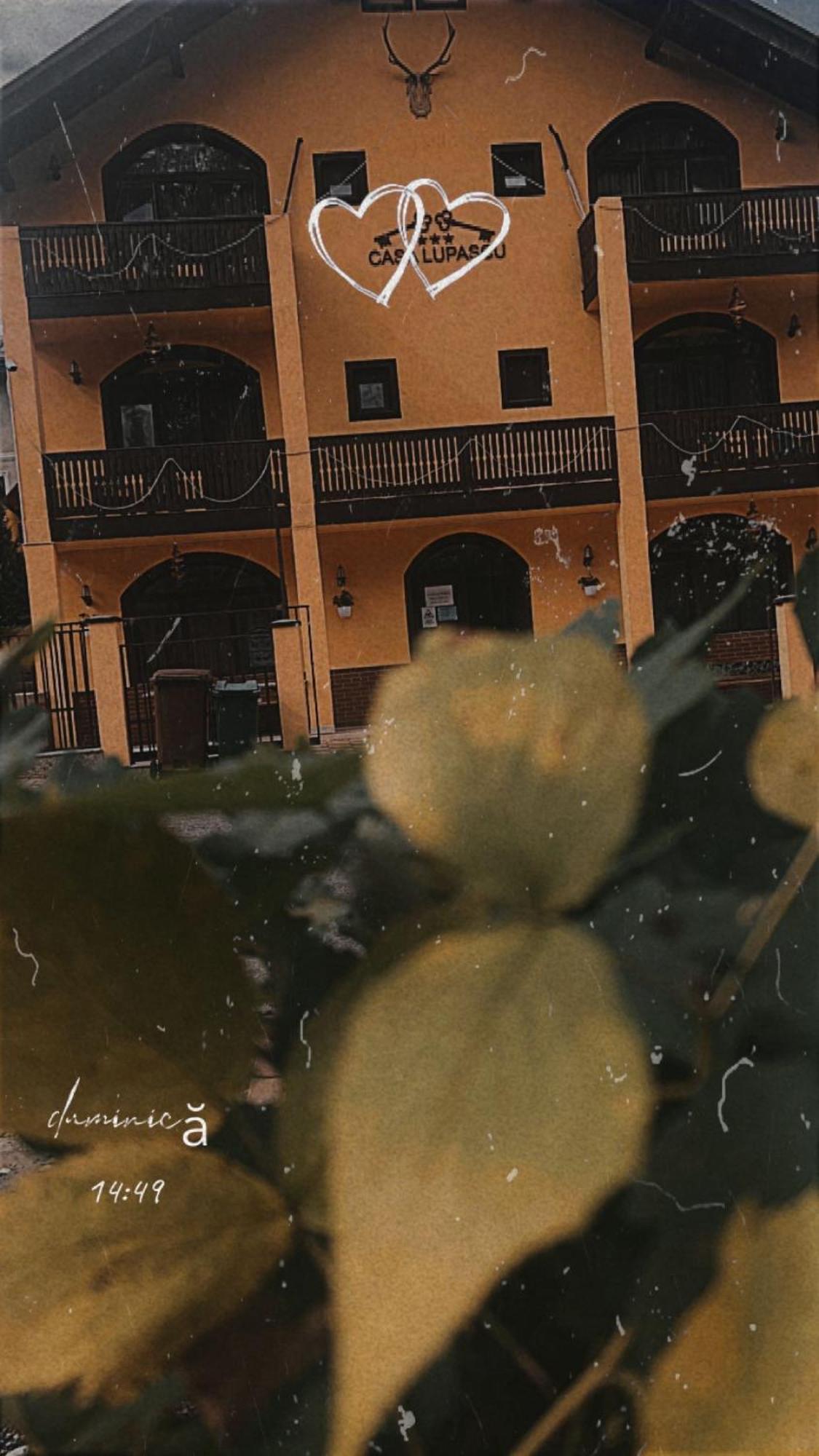 Casa Lupascu Otel Vatra Dornei Dış mekan fotoğraf