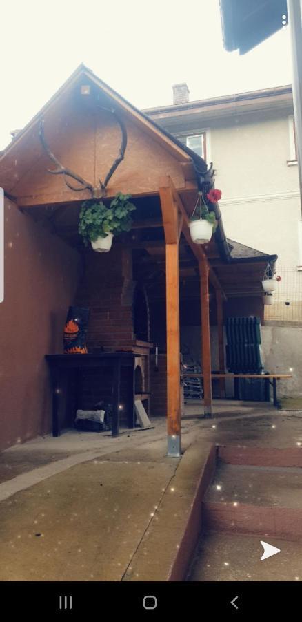 Casa Lupascu Otel Vatra Dornei Dış mekan fotoğraf
