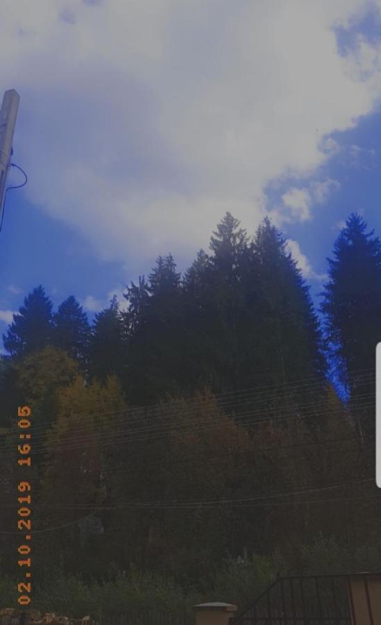 Casa Lupascu Otel Vatra Dornei Dış mekan fotoğraf